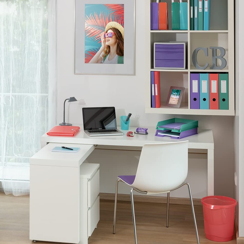 Esselte 626264 Box File 40 mm Blue