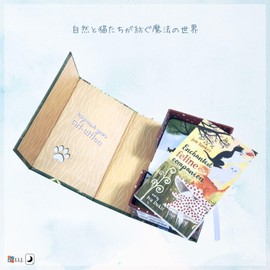 I.I.J Tarot Cards, 78 Cards, Weighted Edition, Tarot Cats, Divination Telling, Enchanted Forest Felines Tarot, Japanese Instruction Manual Included (English Language Not Guaranteed)