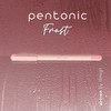 Pentonic Ballpoint Pens, 10 Count, Frosted Pale Pink Barrel with