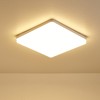 LEDs Ceiling Light Flush Mounting 18W Square Ceiling Lamp for
