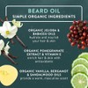 BADGER Beard Grooming Kit, 1 Each