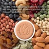 Yharnamite 6 Pcs Terracotta Brown Sugar Saver, Brown Sugar Keeper,
