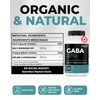 Renew Actives GABA 1300mg – High Potency Calm & Relaxation