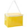 eBuyGB Lunch BBQ Camping Can Cooler Picnic Bag Box, Polyester,