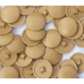 Cover Caps for Phillips PZ 2 Screws Light Oak Pack of 50