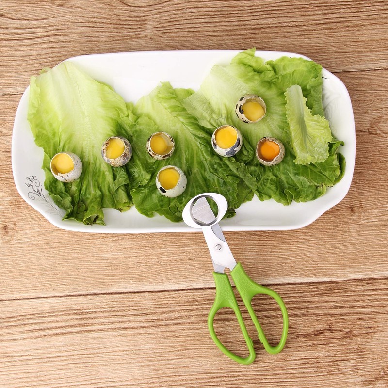 6Pcs Quail Egg Cutter Scissors Kitchen Egg Shears Tool (Green)