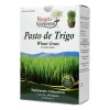 Pasto De Trigo (150 Caps) Margarita Naturalmente Sabor Sin Sabor