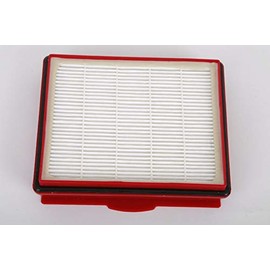 High Quality Hepa Filter H12 Suitable for Electrolux Lux 1, Lux 1 Classic, Lux 1 Royal, Lux D 820 - Replacement for Original HEPA Filter Lux 1 105015801 Dust Container