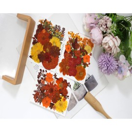 143PCS Brown Fall Dried Pressed Flowers for Resin - Youthbro Real Nature Flowers Herb Set for Christmas DIY Candle Soap Vase Making Nail Card Scrapbook Art Craft Floral Decors