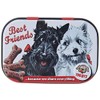 Nostalgic Art 40361138123 Box Mints Best Friends, Steel, Multi-Colour