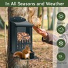 TreeGun Squirrel Feeder for Hanging Outside Tree，Mini Chipmunk Outdoors Squirrel