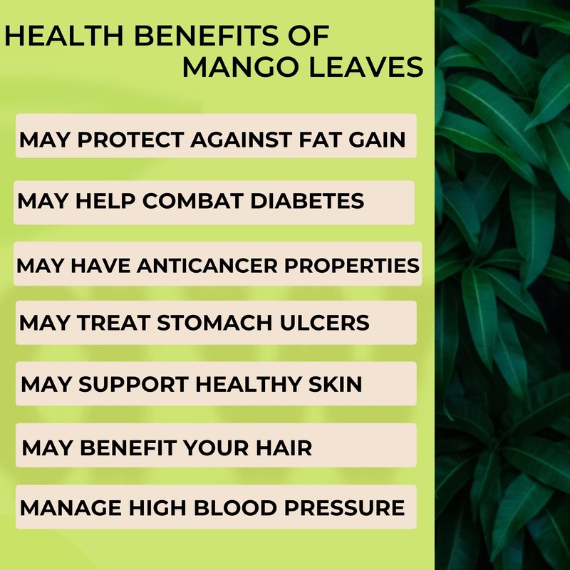 Dried mango leaves 2oz