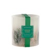 Seasonal NEW - Frosted Woods (Pear, Patchouli & Musk) -