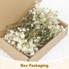 ForestM 100PCS Dried Pressed Flowers,Natural Baby Breath Dried,Dry Flowers