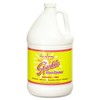 Glass Cleaner 1 gal. Bottle Refill