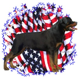 CafePress Rottweiler Flag Throw Blanket Super Soft Fleece Plush Throw Blanket, 60"x50"