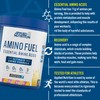 Applied Nutrition Essential Amino Acid (EAA) Powder Supplement Maximize Muscle