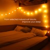 HeaHap Himalayan Salt String Lights with Switch, 20 Natural Salt