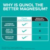 Qunol Magnesium Glycinate Complex, Gentle on Stomach, 250mg One Pill