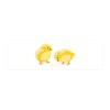 CafePress Baby Chicks Wall Decal 36x11 Wall Decal, Vinyl Peel,