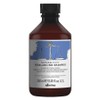 Davines Naturaltech Rebalancing Shampoo, 250ml, 1 pc / 다비네스 내추럴텍 리밸런싱 샴푸, 250ml, 1개