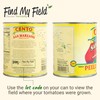 Cento Certified San Marzano Whole Peeled Tomatoes, 28 Oz (Pack