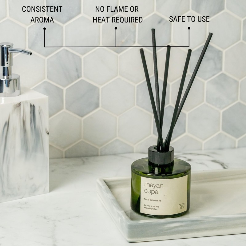 Craft & Kin Reed Diffuser Set Mayan Copal, Reed Diffusers