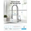 Kitchen Faucet with Pull Down Sprayer, High Arc Single Hole