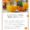グアマラル サジー シーベリージュース サジージュース サジーサプリ 無添加 スティックタイプ モンゴル産 30ml (7個入り)