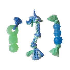 Petstages Mini Dentachew Dog Chew Toy - 3 Pack - Great Size for Small Dogs and Puppies