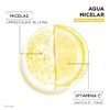 Garnier, 2 Pack Skin Active Micelar Express Aclara 400Ml +