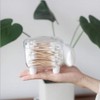 Mini Cotton Buds Storage Box Swab Holder Cosmetic Cotton Toothpick