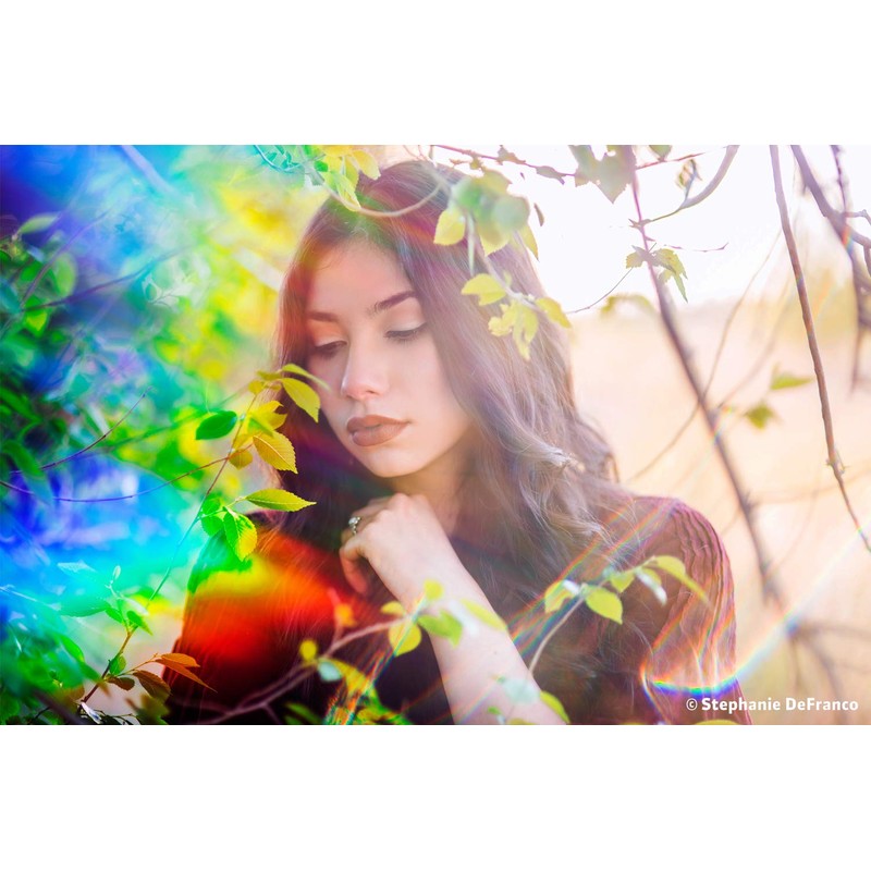 Lens Baby Lensbaby OMNI Creative Filter System Effect Wands 3