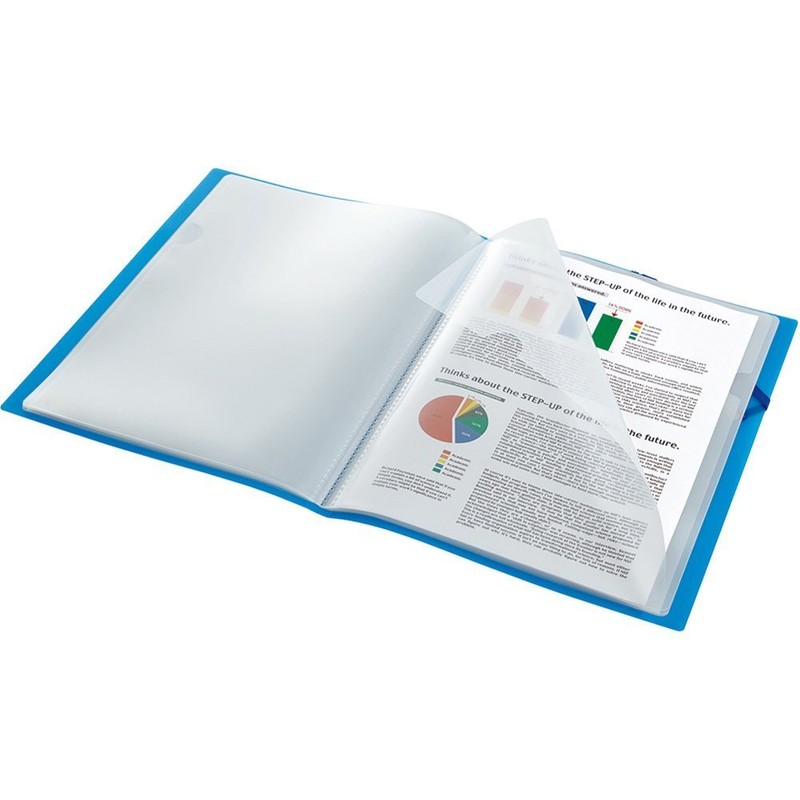 Kingjim 6171-3T Clear File HOLDER IN, A4, 12 Pockets, Light