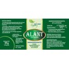 Vitaide Vegan Eleante Root (Inula Helenium) 120 Vegetable Capsules, 450