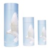 Scattering Ashes Urn, Eco-friendly Biodegradable Cremation Urn Scatter Tube (Flying