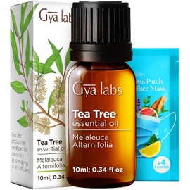 Gya Labs Aceite esencial de árbol de té para el cuidado de la piel y el cuidado del cabello, tópico para piel grasa, cuero cabelludo seco, uñas saludables, difuso para purificar el aire, 100 puro aceite de árbol de té de grado terapéutico para el cabello, 10 ml