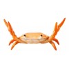Estuchelandia Soporte De Cangrejo Para Lápiz Pluma Bolígrafo Decoración