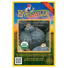 Everwilde Farms - 20 Organic Chicago Warted Hubbard Winter Squash Seeds - Gold Vault Packet