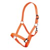 HKM Stars Economy Softice halter Orange Cold-blood