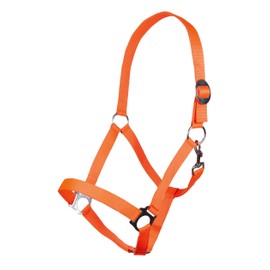 HKM Stars Economy Softice halter Orange Cold-blood