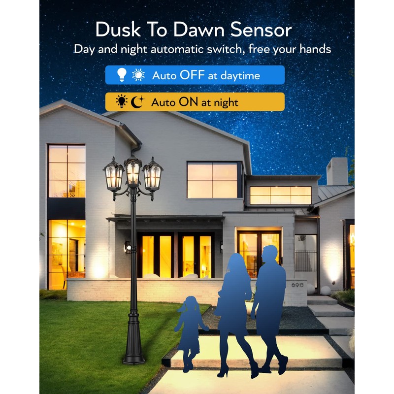 VIANIS 3-Head Outdoor Lamp Post Light Fixture, Black Outdoor Light