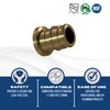 XFITTING Pex A 1/2 Inch Plug End Cap, 29-3-5=2XX, 2
