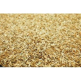 ProTurf Perennial Ryegrass Fine Lawn Seed by Eretz (3lb) - CHOOSE SIZE! Premium Willamette Valley, Oregon Grown Grass Seed