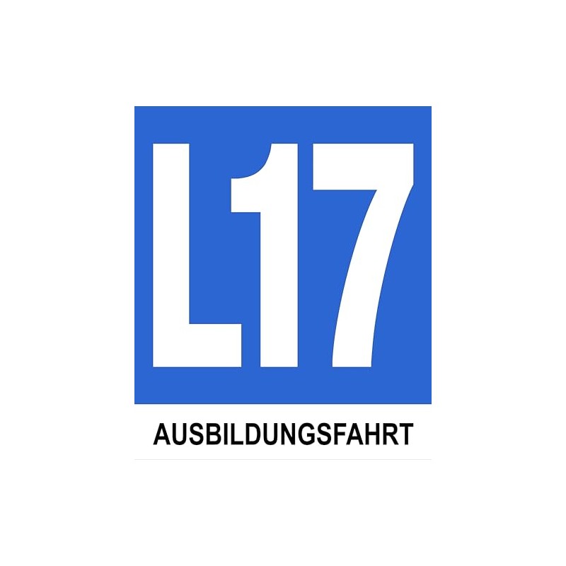 L17 Magnetic Training Ride Board for Outdoor Use