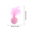 Cat Toy Ball with Feather | Kitten Training Toy -