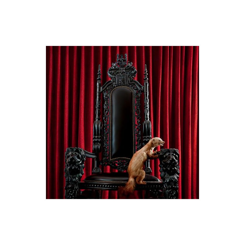 Marten (Hardcover Book)