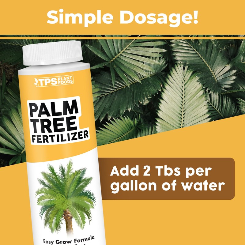 Palm Tree Fertilizer for All Palms and Ferns, Liquid Plant