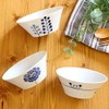 Hasamiyaki Flowers Multi-Purpose Pot, Diameter 5.0 inches (12.7 cm), Approx.