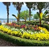 Nelson - Trees, Shrubs, & Evergreens Plant Food for In-Ground,